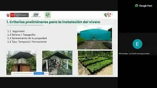 Producción de plantones de especies forestales de alta calidad