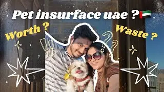 Pet Insurance in Dubai UAE | Worth it or Waste of Money?