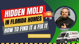 Mold in Florida Homes: Expert Prevention & Removal Tips You Need to Know