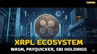 XRPL Ecosystem: WASM, PayQuicker, and SBI Holdings' Holdings - This is the vision of XRP
