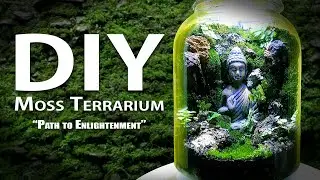 How to build a DIY Moss Terrarium!!! | Path to Enlightenment | Buddha Moss Terrarium | Terrascaping