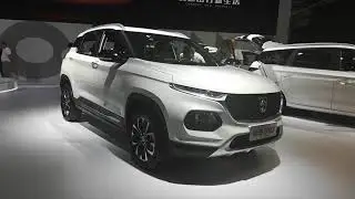 BAOJUN RS-5, 360, 730, 530, 510, 310W, 310, E200, WULING HONGGUANG S - 2019 16th Changchun Auto Expo