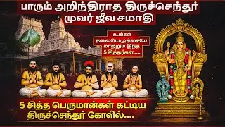 Live - Thiruchendur Murugan | Miracles of Thiruchendur Temple | Divine Grace by the Sea