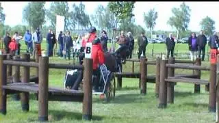 Schildau 2010 Einspänner Gelände