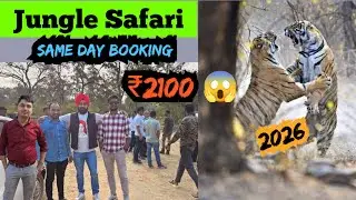 Karwa Jungle Safari 🐯 Jungle Safari Karwa 2026 | How to Book Karwa Safari 