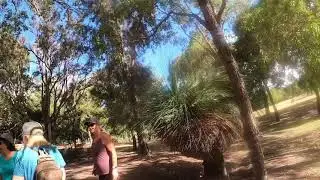 Piney Lakes