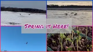 Off Grid Life - Sure signs of Spring! Mud update!