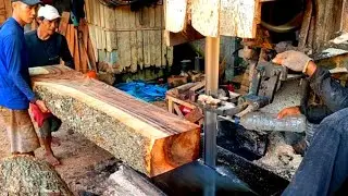 Kayu Trembesi ini Galihnya istimewa saat diSawmil papan