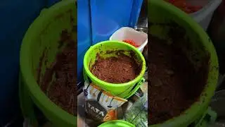 💥 Pondicherry Famous Macroni Saptu Irukingalaaa ⁉️ #shorts