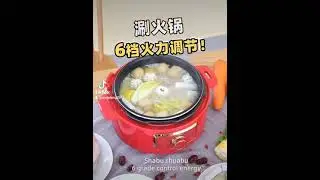 Multififunctional electric pressure cooker,hot pot,  steamer,soup pot, multi-pot function in one