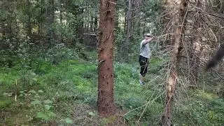 Paying it forest I Helping the squirrels I ASMR