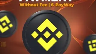 ♥️S-PayWay | Binance Pay (P2P) Auto Payment Without Fee