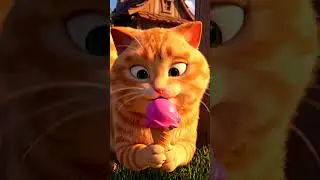 Epic Cat Walks That Deserve a Runway!
