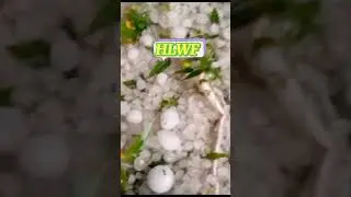 small pieces of ice through heavy Rain , Thunder Strom