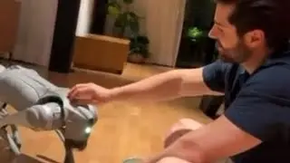 O Alok está vivendo em 2050