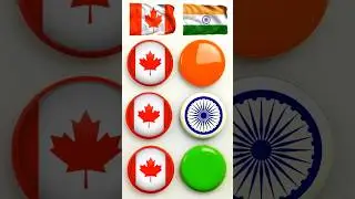 Canada 🇨🇦 & India 🇮🇳 Flag Coin Art 🎨 | Amazing Coin Art Shorts#art