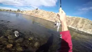 Fishing the North Platte River in Wyoming