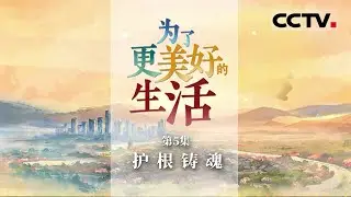 《为了更美好的生活》第5集 护根铸魂！不忘本来 是为了开创更好的未来【CCTV纪录】