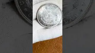 BOUGHT A MORGAN SILVER DOLLAR! #cop #coin #coincollecting #numismatics #money #gold