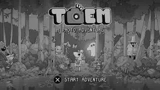 The Beginning Toem