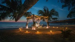 Valentine's Day Popular Love Songs Saxophone