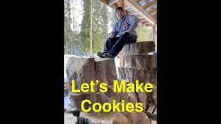 Box Elder cookies on my 6ft wide bandsaw mill