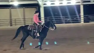 Morgan Grand Nationals 2022. World Championship Ranch Trail, APH Lined In Lace
