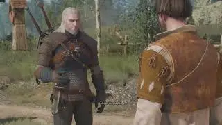 The Witcher 3 NEXT GEN L PRESENT ULTRA PERFORMANCE MAX SETTING