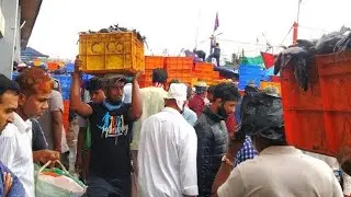 seafood market Mangalore  Mangalore fish harbour | fish market Beautiful view's I G E media