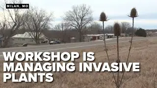 Workshop in Milan to offer insights on managing invasive plants on farms, at homes