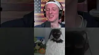 Идеи костюмов на Хэллоуин 2025!
