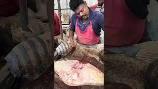 KASIMEDU 🔥 SPEED SELVAM | STRINGRAY FISH 🐟 MASS CUTTING | N M FISH CUTTING 🔪