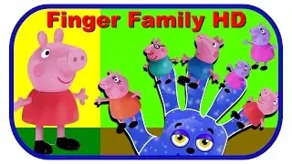 finger family | pappa pig finger family | daddy finger daddy finger ( Fingertip Rhymes TV )