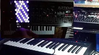 Dreadbox ARTEMIS Mpe and Oberherim TEO-5