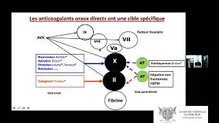 Anticoagulants oraux directs (AOD) : nouveau paradigme ou énigme ?