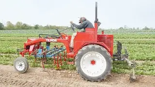 Tilmor Finger Weeders In Action