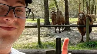 Chehaw Park and Zoo