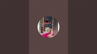 Life with Dogs is live aapka best friend chiku Coco tuntuni