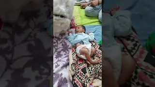 Dog Meeting First Time With Baby #shorts #pet #baby