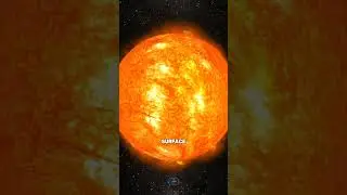 NASA Just Took the Closest Pics of the Sun EVER! #astronomy