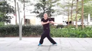 傅式八卦掌陽八卦第三掌順勢掌Fu style bagua yang palms bagua the third palms
