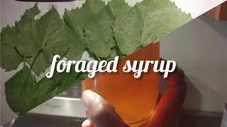 a cocktail syrup with wild plants!