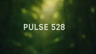 Pulse 528
