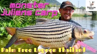 Palm Tree Lagoon Day 2. Scaley Bangers!! Juliens, Albino silver and Rohu carp + Black shark Minnow.