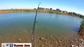 Spillway Fishing Using Shads for Huge Northern Pike/ Vlogger John/Best Pike Lure - color, Type etc..