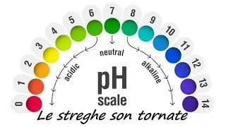 IL pH NEI COSMETICI HANDMADE - SOS Spignatto