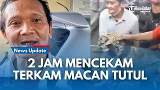 SOSOK Ahmad Penjinak Macan Tutul Selama 2 Jam Pertaruhkan Nyawa Yang Berkeliaran di Permukiman
