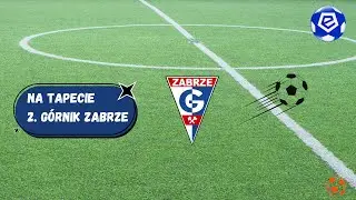 Górnik Zabrze po rundzie jesiennej piłkarskiej ekstraklasy