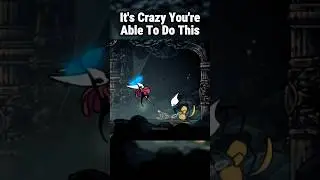 It's Crazy You Can Do This In Hollow Knight Silksong