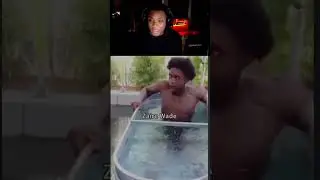 Кобей на совершенно другом уровне 🔥 #officialmir #funny #reaction
